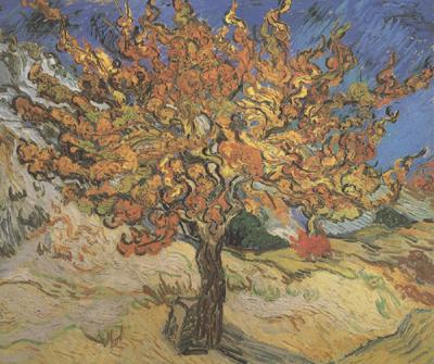 Vincent Van Gogh The Mulberry Tree (nn04) China oil painting art